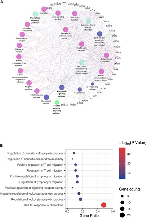 Frontiers Identification Of Prognostic Stromal Immune Scorebased