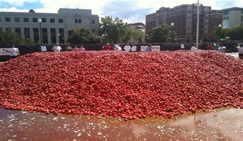 Top 6 Fun Facts about La Tomatina Festival – Topcount