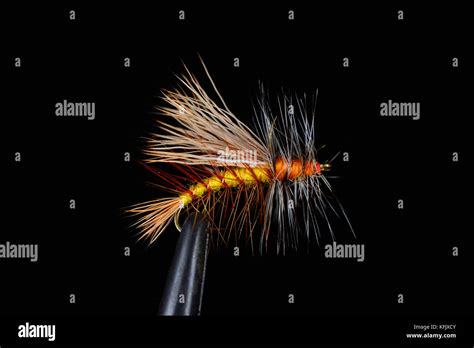 Stimulator Attractor Dry Fly For Designed For Flyfishing During A Stone