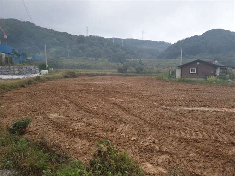 아산토지매매 도고면 석당리 토지378평구거50평공짜사용 급매매 합니다 도고면 매매 도고면 토지 신창순천향대역1호선