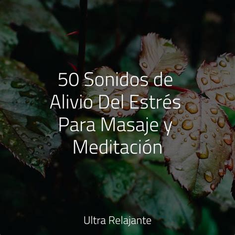 Sonidos De Alivio Del Estr S Para Masaje Y Meditaci N By M Sica