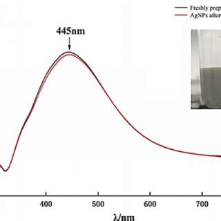 UVvis Spectra Of AgNPs The Inset Shows A Photograph Of The AgNP