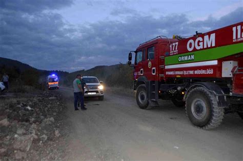 Son dakika haber Tavşanlı da demiryolu güzergahında orman yangını