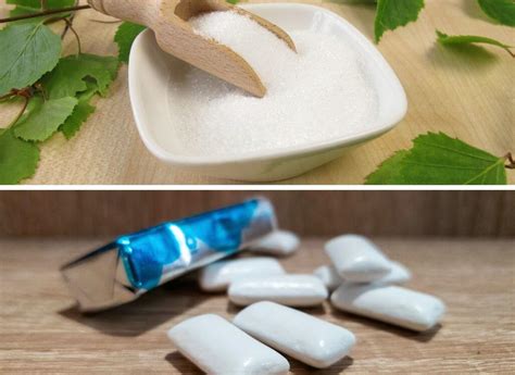 The Hidden Dangers of Xylitol to Dogs