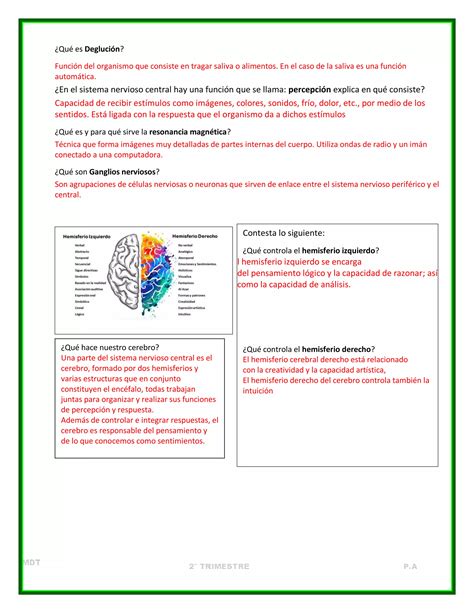 Cuadernillo Actividades Trimestre II Ciencias I PDF Descarga Gratuita