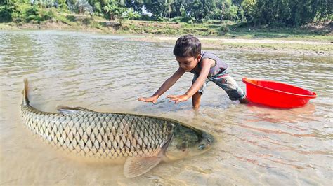 Really Amazing Big Fish Catching By Hand Traditional Big Fish Catch