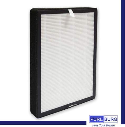 PUREBURG Filtros HEPA De Repuesto Compatibles Con COSTWAY IGYLAR Domie