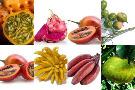 30 Frutas Exóticas Que Te Sorprenderá Conocer ¡beneficios Y Curiosidades