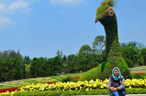 Taman Matahari Cisarua Bogor - Pinhome