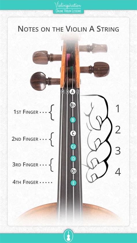 All Violin Notes On The A String With Easy Pdf Chart