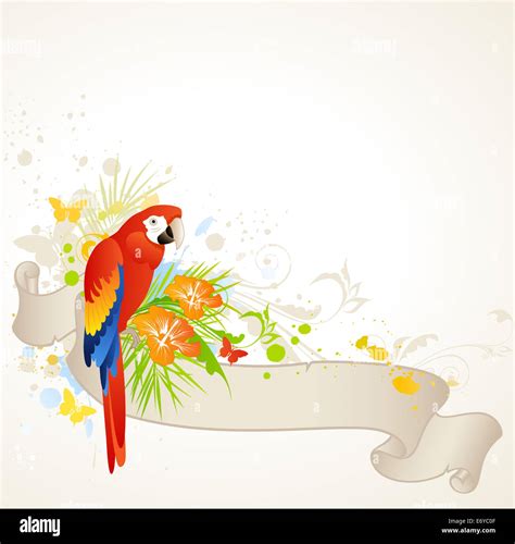 Summer Banner With Floral Ornament And Parrot Stock Photo Alamy