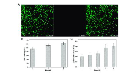 Cytotoxicity Of Aln Conjoined Tetra Peg Hydrogel In Vitro A