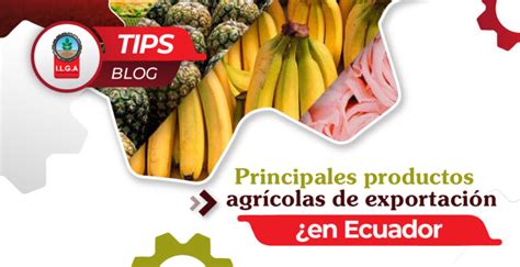 Principales productos agrícolas de exportación en Ecuador ILGA