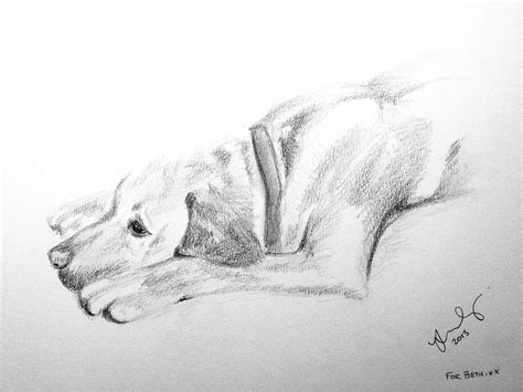 How To Draw A Laying Down Dog - Drawing.rjuuc.edu.np