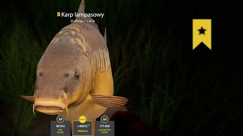 Trophy Carp Amber Lake Russian Fishing 4 RF4 SPOT 42 YouTube