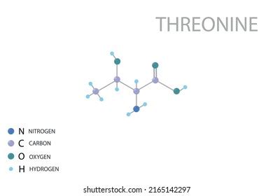 Threonine Molecular Skeletal 3d Chemical Formula Stock Vector Royalty