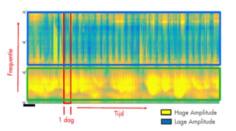 Passive Seismic Survey Rossingh Geophysics