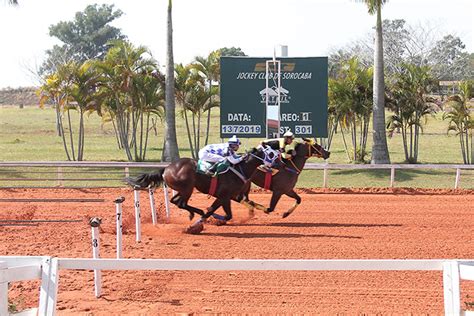 Jockey Club De Sorocaba P Reo Jockey Club De Sorocaba Mixed Sale Ii