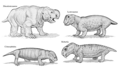 Dicynodont - Alchetron, The Free Social Encyclopedia