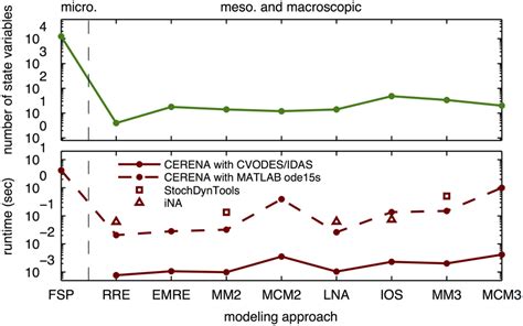 Complexity Of Different Descriptions Of The Three Stage Model Of Gene