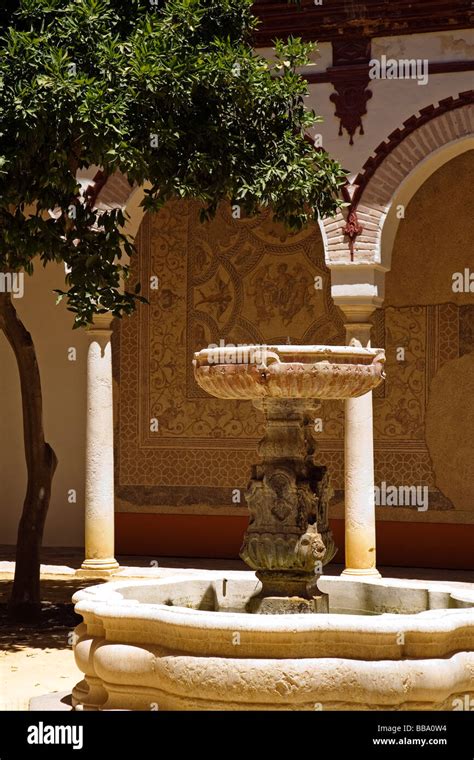 Fuente Y Mosaico Romano En El Museo Municipal Hist Rico Palacio De