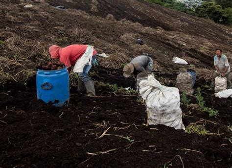 Más allá de la Capira y la Pastusa Colombia ya tiene tres nuevas