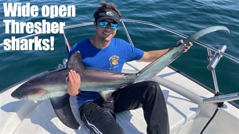 Fishing Big Thresher Sharks In Huntington Beach Catch And Release