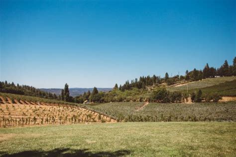 5 Amazing Apple Hill Wineries For Views, Wine & Vibes