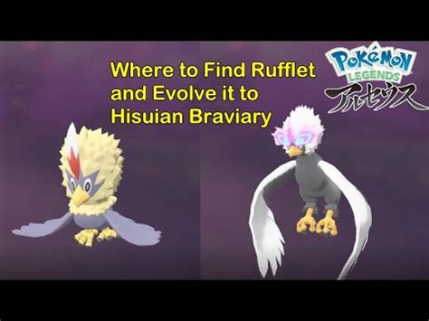 How To Get Rufflet And Hisuian Braviary In Pokemon Legends Arceus Youtube