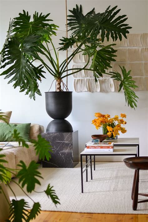 A Living Room Filled With Furniture And Plants