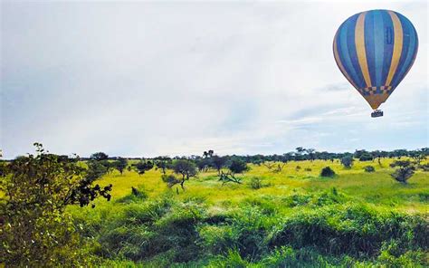 Serengeti Balloon Safari: Views You Cannot Replicate