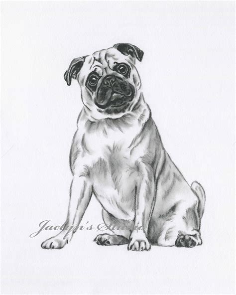 Pug Art Pug Drawing 11x14 ORIGINAL Drawing Pug | Etsy