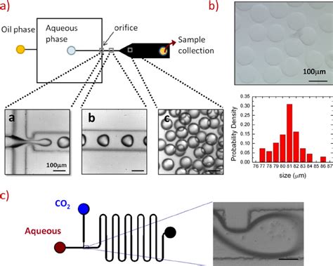 Microfluidic Fabrication Of Agarose Microgel And Gas Bubble Templates