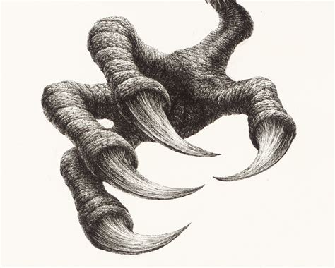 eagle claw drawing  getdrawings