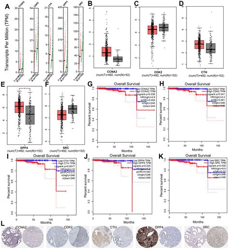 Systematic Investigation Of The Mechanism Of Herbal Medicines For The