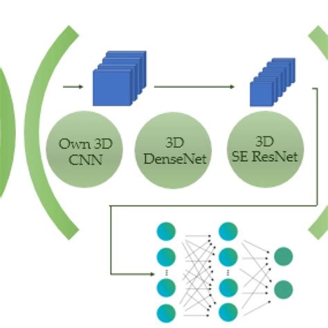 The Schematic Diagram For Data Processing In Deep Neural Networks