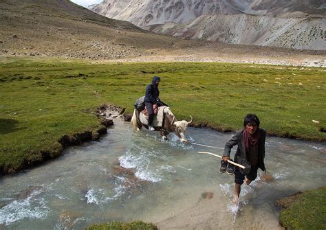 Tourist Riding A Yak Crossing A River During A Treck Big Flickr