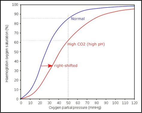 Haemoglobin Oxygen Dissociation Curves And The Bohr Effect — Online A