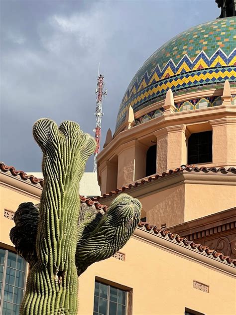 Downtown Tucson Walking Tour The Crested Top Saguaro