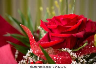 Red Rose Bouquet Stock Photo 364371749 | Shutterstock