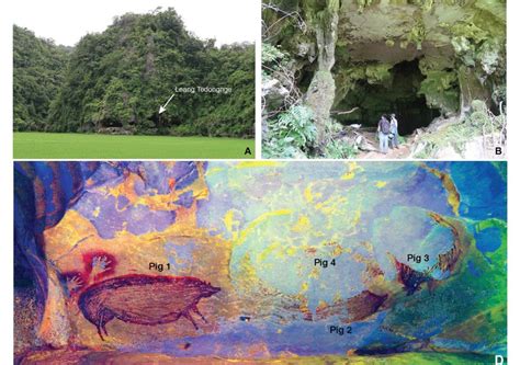 De Acordo Com Estudos Arqueológicos Onde Surgiram Os Seres Humanos