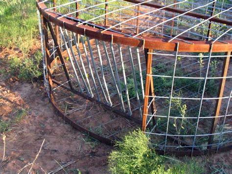 an old rusted metal cage sitting in the grass