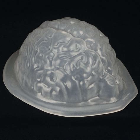 Brain Gel Mold Abracadabranyc