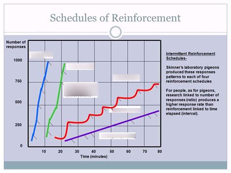 Thick Schedule Of Reinforcement