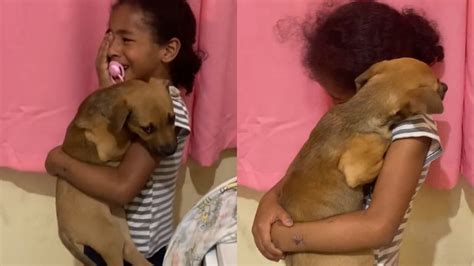 Criança chora ao saber que não poderá ficar cachorro Some ele