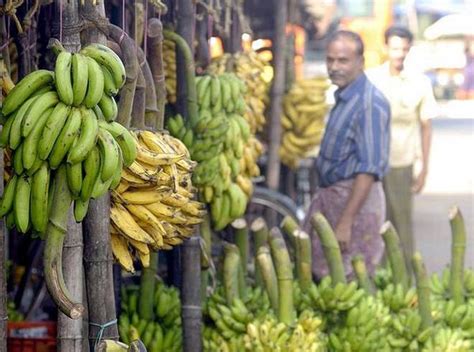 Climate Change Can Reduce Banana Yields in Largest Producer Countries