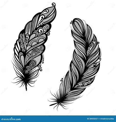 Abstract Feather Bird Stock Vector Illustration Of Objects 38920257