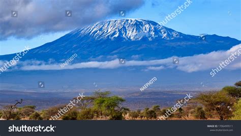kenya amboseli view kilimanjaro mountain stock photo