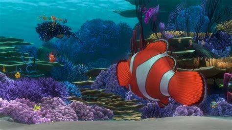 Finding Nemo Finding Nemo Image 3570017 Fanpop