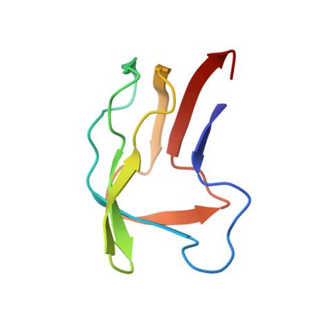 RCSB PDB 1LAC THREE DIMENSIONAL STRUCTURE OF THE LIPOYL DOMAIN FROM